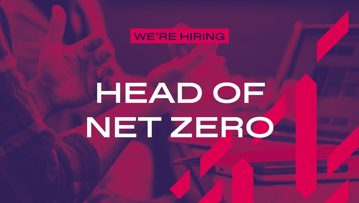 Head_of_Net_Zero_web